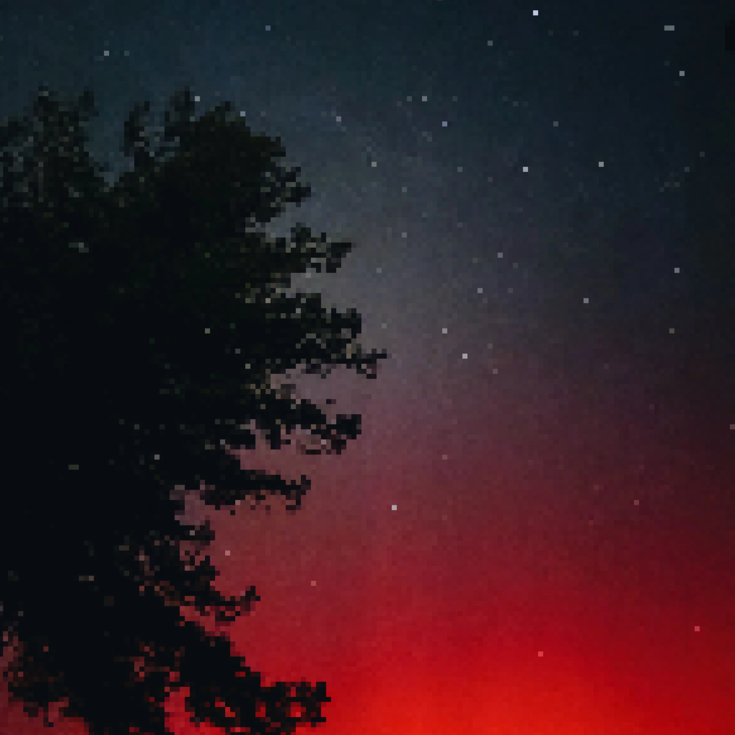 Camp Rew coming soon